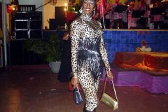 marccelus_fantoches2005_00124