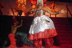 Marccelus-em-Dion-25-anos-087