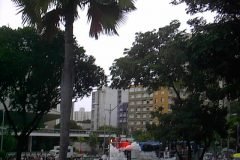 ’