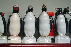 Marccelus-entrevista-Luiz-Mott-035