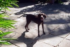 Marccelus-entrevista-Godje-031