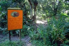 Marccelus-entrevista-Godje-037