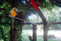 Marccelus-entrevista-Godje-038