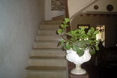 Marccelus-entrevista-Godje-045