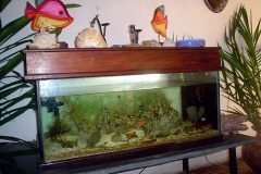 Marccelus-entrevista-Godje-052