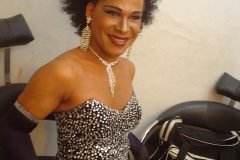 Marccelus-no-Miss-Bahia-Gay-2004-030