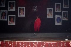 Marccelus-no-Miss-Bahia-Gay-2004-093