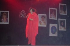 Marccelus-no-Miss-Bahia-Gay-2004-094