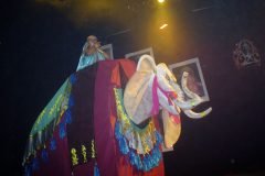 Marccelus-no-Miss-Bahia-Gay-2004-102