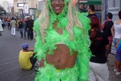 marccelus_paradasp335