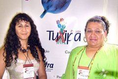 tulipa19